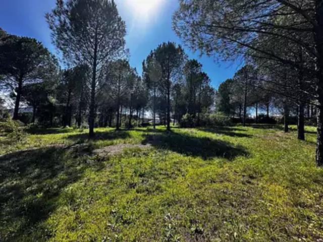 Terrain vente à Roquebrune-sur-Argens, Var