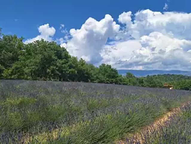 Terrain vente à Forcalquier, Roumoules