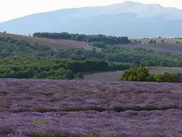 Terrain vente à Carpentras, Saint-christol