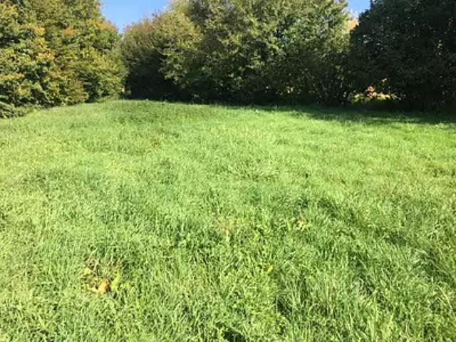Terrain vente à Bourg-en-Bresse, Saint-cyr-sur-menthon