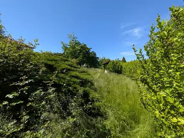 Terrain vente à Belley, Saint-eloi