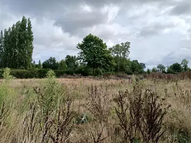 Terrain vente à Lisieux, Saint-gatien-des-bois