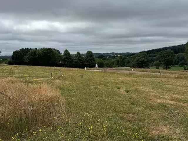 Terrain vente à Mayenne, Saint-georges-buttavent