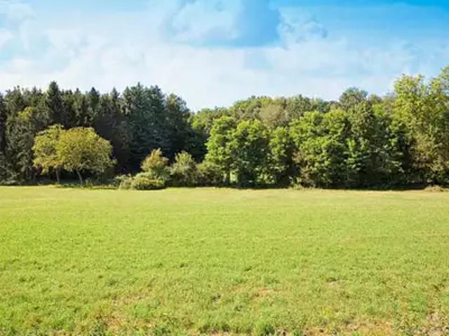Terrain vente à Châteaubriant-Ancenis, Saint-mars-du-désert
