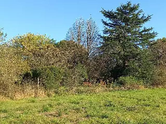 Terrain vente à Périgueux, Saint-martial-d'artenset