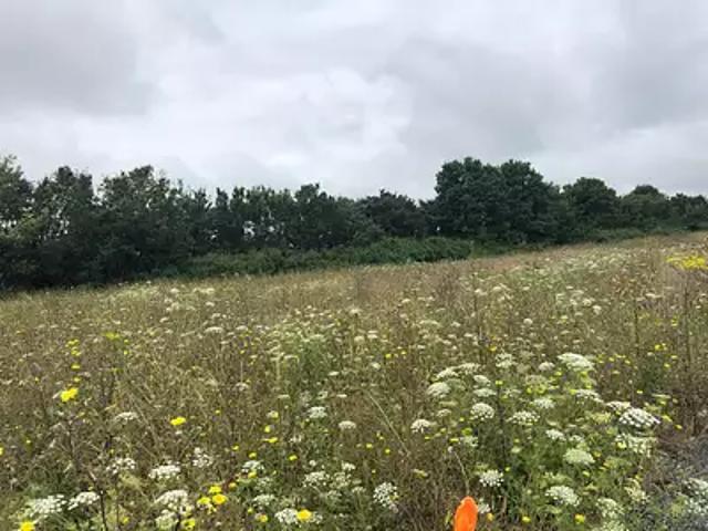Terrain vente à Rochefort, Saint-nazaire-sur-charente