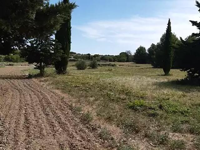 Terrain vente à Lodève, Saint-pargoire