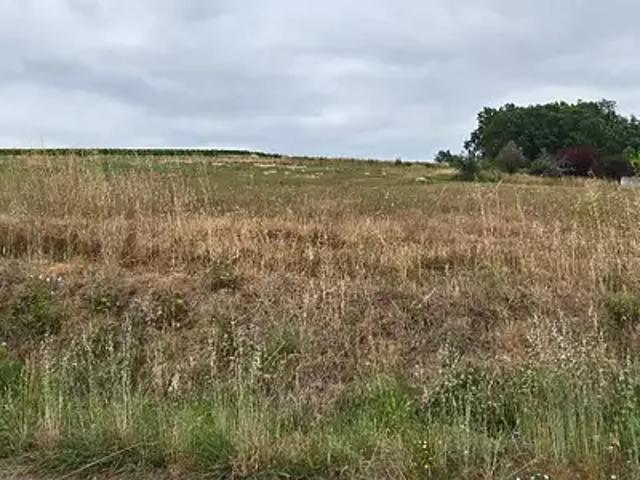 Terrain vente à Blaye, Saint-savin