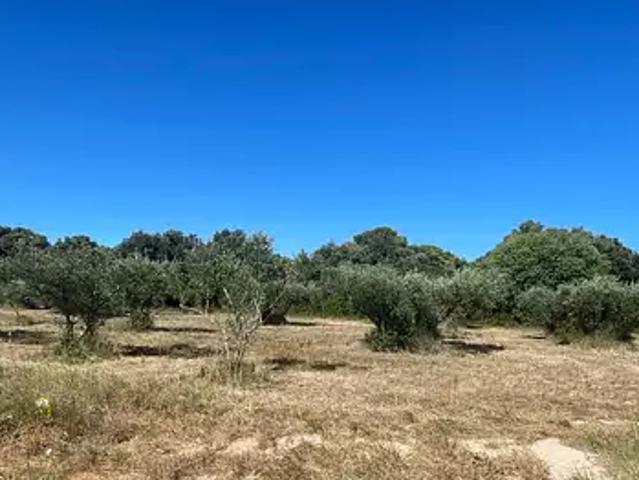 Terrain vente à Nîmes, Saint-siffret