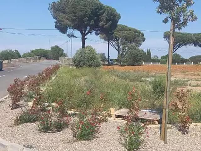 Terrain vente à Narbonne, Sallèles-d'aude
