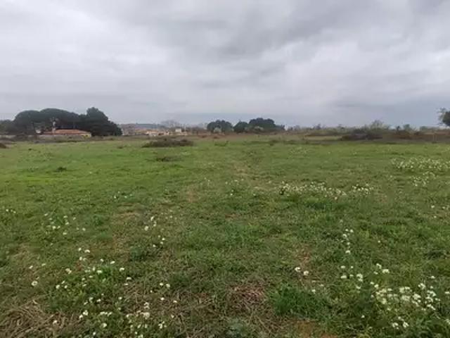 Terrain vente à Narbonne, Salles-d'aude