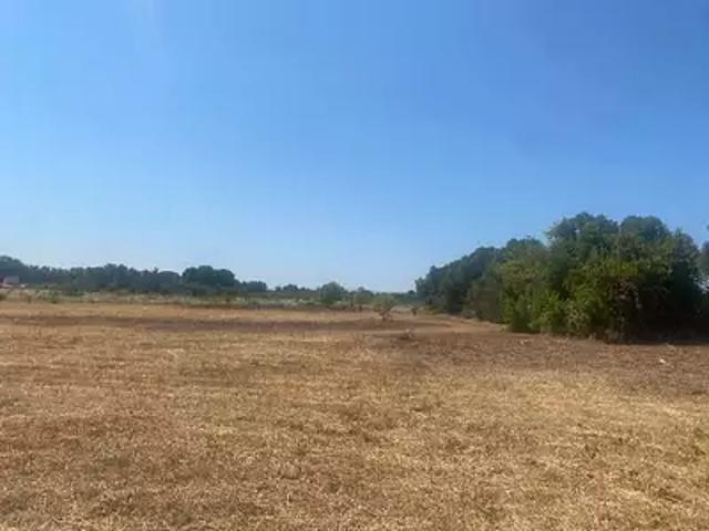 Terrain vente à Narbonne, Salles-d'aude
