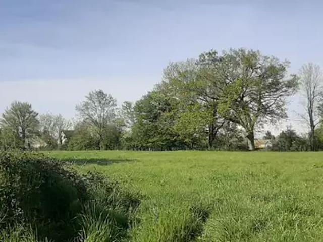 Terrain vente à Mamers, Savigné-l'evêque