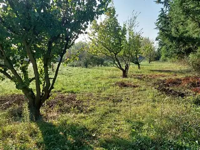 Terrain vente à Aix-en-Provence, Sénas