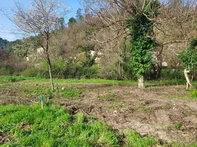 Terrain vente à Arrondissement de Toulon, Solliès-toucas