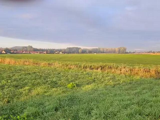Terrain vente à Steenvoorde, Nord