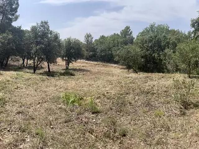 Terrain vente à Arrondissement de Draguignan, Taradeau