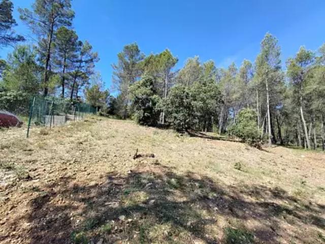 Terrain vente à Arrondissement de Draguignan, Taradeau