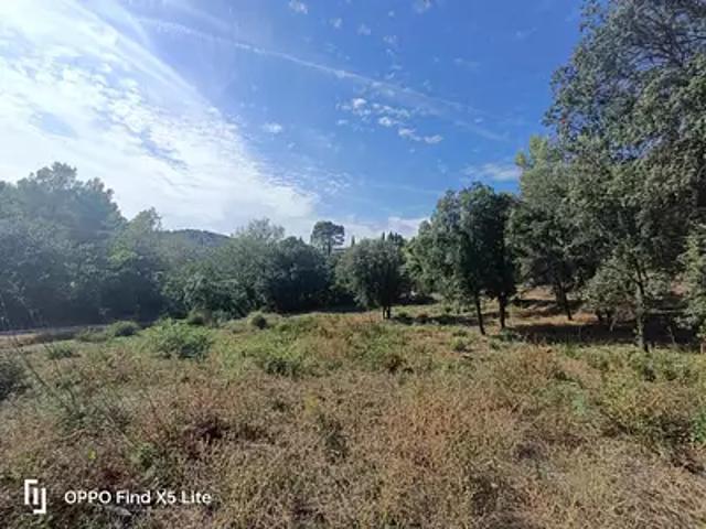 Terrain vente à Arrondissement de Draguignan, Taradeau