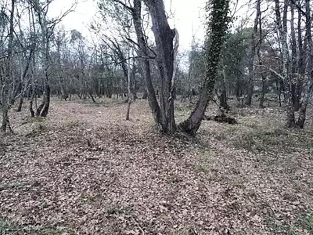 Terrain vente à Arrondissement de Draguignan, Trans-en-provence