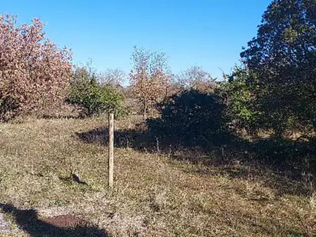 Terrain vente à Avignon, Vedène