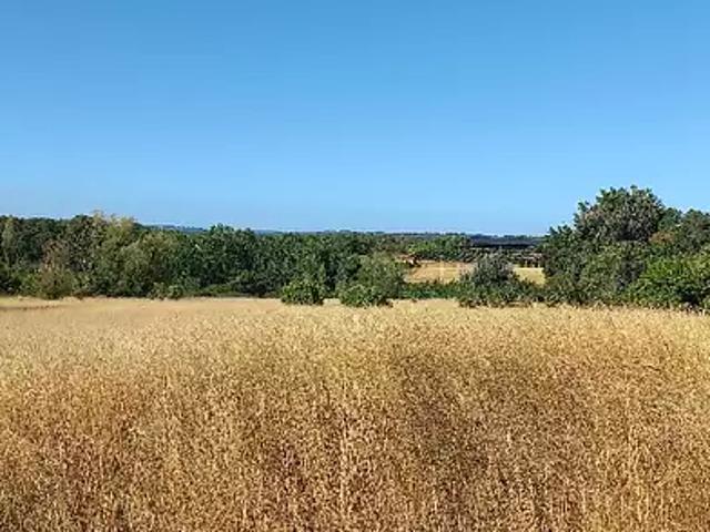 Terrain vente à Bergerac, Villefranche-de-lonchat