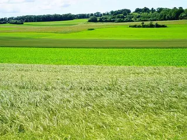 Terrain vente à Saint-Germain-en-Laye, Achères