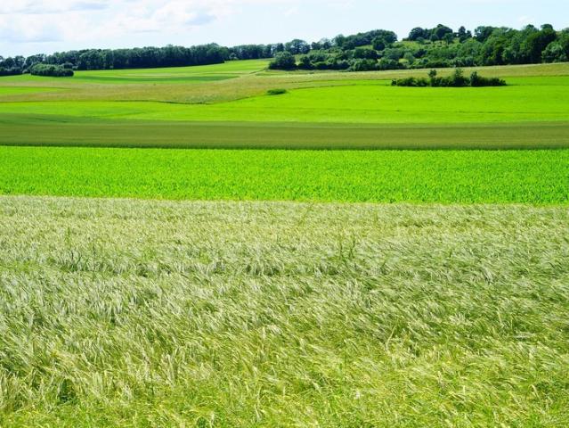 Terrain vente à Saint-Germain-en-Laye, Achères