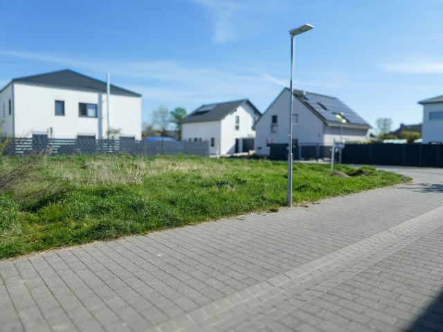 Erdgeschosswohnung kaufen in Großniedesheim