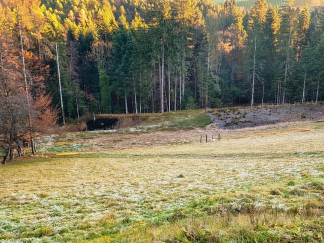 Haus kaufen in Stainz, Steiermark