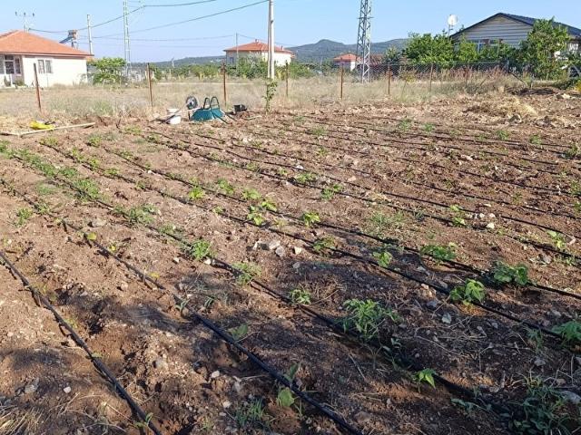 Çavdir, Burdur içerisinde satılık Arsa
