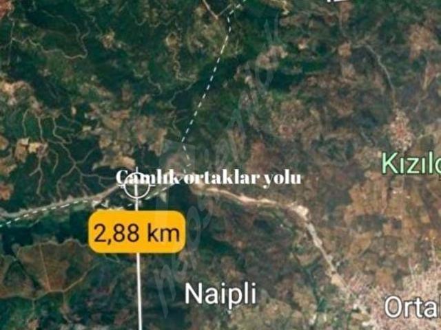 Naipli, Germencik içerisinde satılık mülk