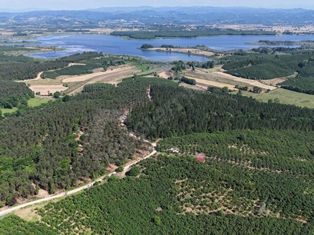 Ferizli, Sakarya içerisinde satılık Arsa
