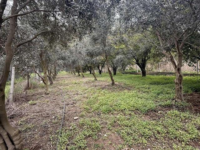 Konyaalti, Antalya içerisinde satılık Arsa