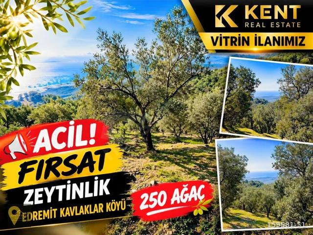 Balıkesir, Karesi içerisinde satılık mülk