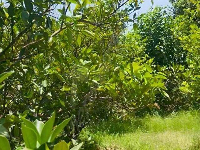 Konyaalti, Antalya içerisinde satılık Arsa
