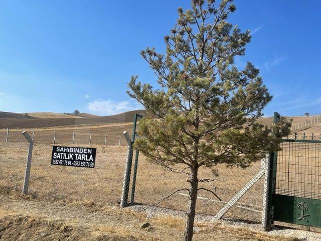 Karamusa Köyü, Şabanözü içerisinde satılık Arsa