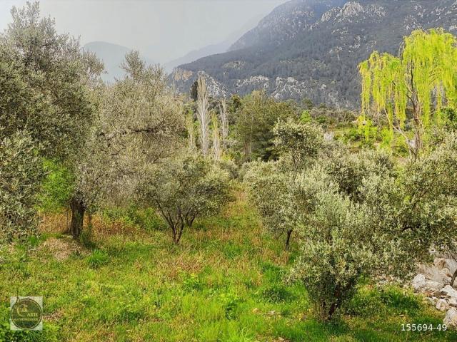Fethiye içerisinde satılık Arsa