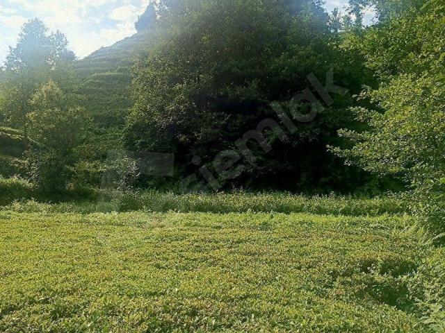 İyidere, Rize içerisinde satılık mülk