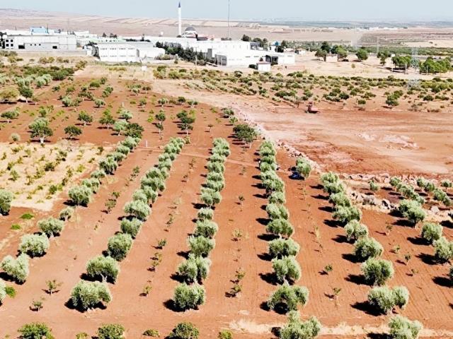 Kilis Merkez, Kilis içerisinde satılık mülk