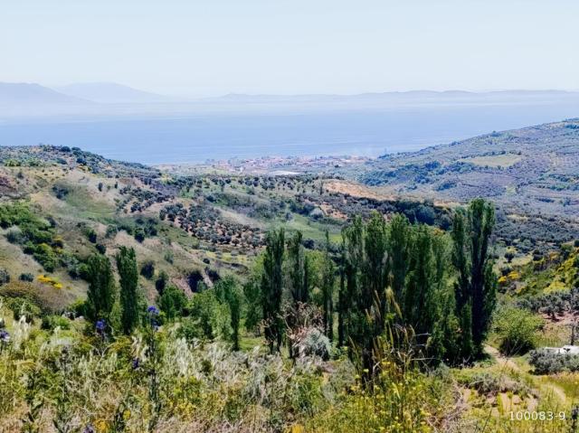 Çungura, Şarköy içerisinde satılık Arsa
