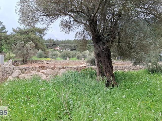 Urla, İzmir içerisinde satılık Arsa