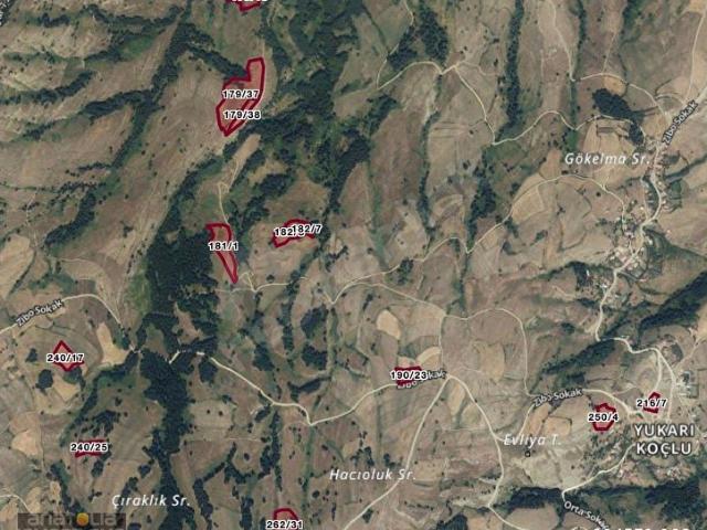 Zibo, Alaçam içerisinde satılık Arsa