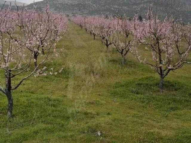 Karapınar, Bucak içerisinde satılık Arsa
