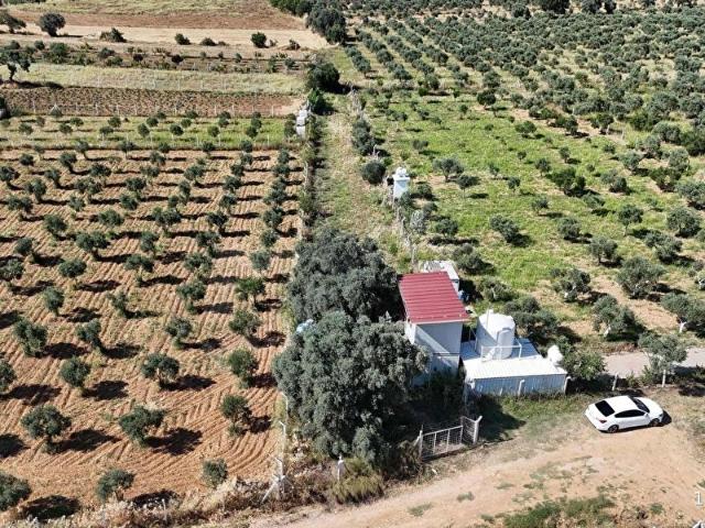 Torbali, İzmir içerisinde satılık Arsa