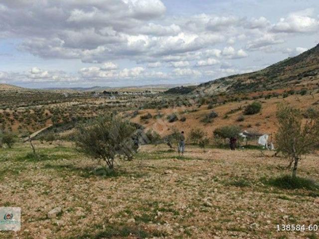Nizip, Gaziantep içerisinde satılık mülk