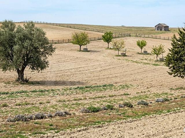 Gölkonak, Yenişarbademli içerisinde satılık Arsa