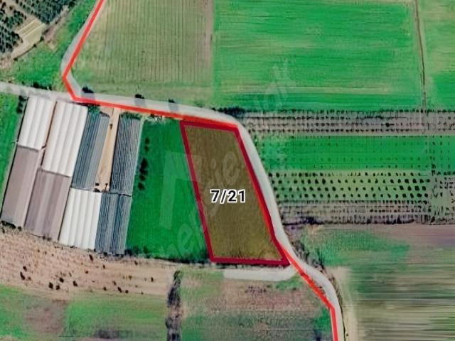 Serik, Antalya içerisinde satılık Arsa