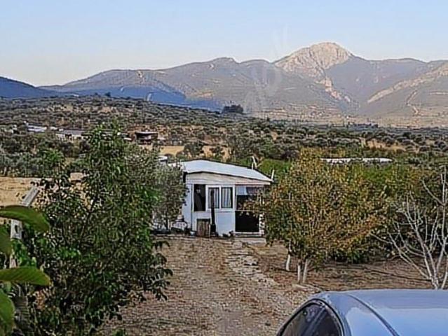 Kemalpaşa, İzmir içerisinde satılık mülk