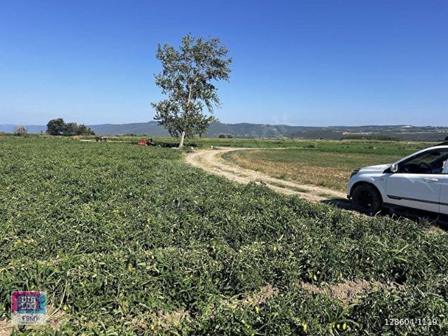 Mustafakemalpaşa, Bursa içerisinde satılık Arsa